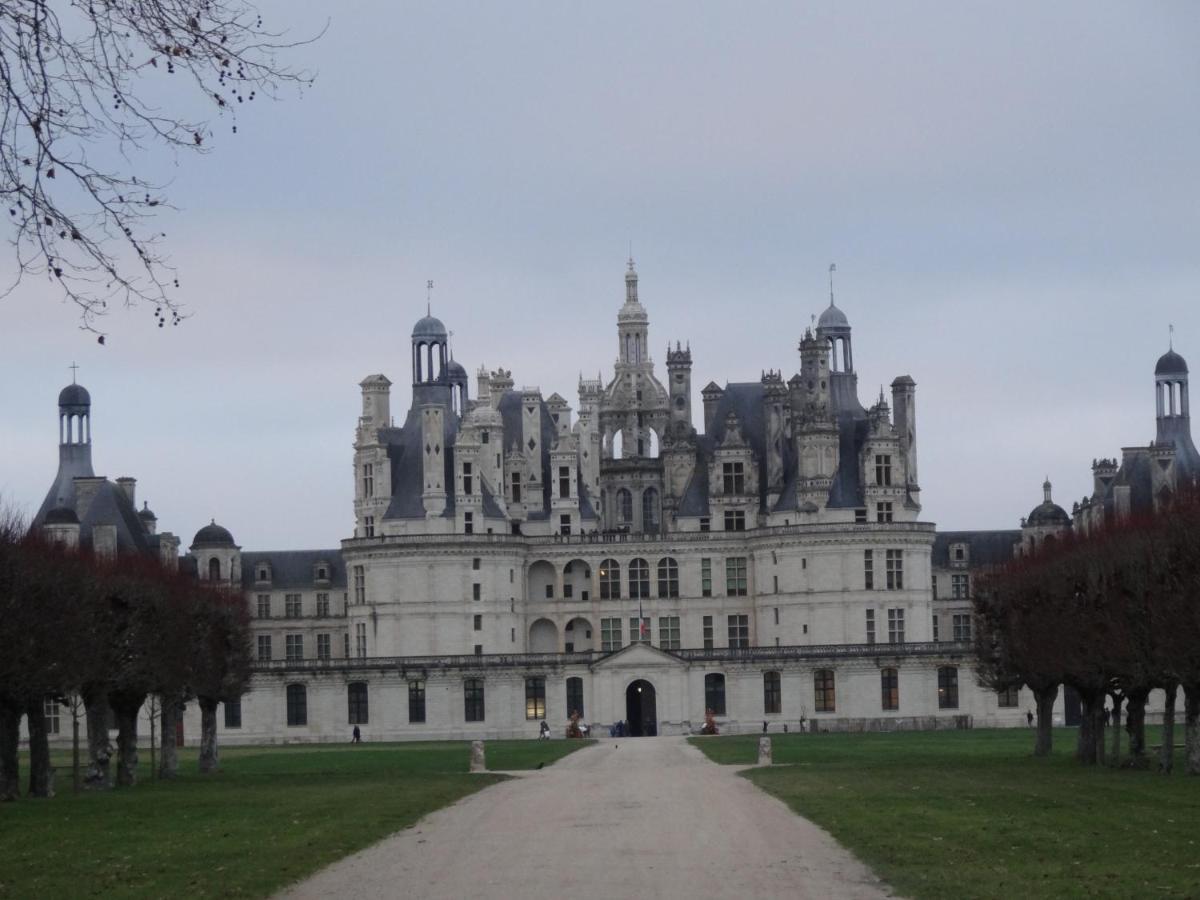 Gite Le Cerf Solognot Proche Chateau Chambord, Lamotte Beuvron Neung-sur-Beuvron Exterior photo