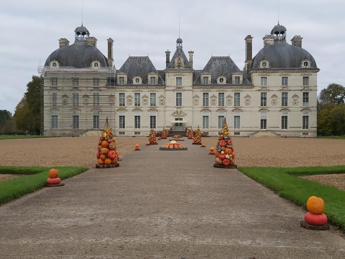 Gite Le Cerf Solognot Proche Chateau Chambord, Lamotte Beuvron Neung-sur-Beuvron Exterior photo